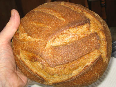 sourdough-bread-recipe-testimonials